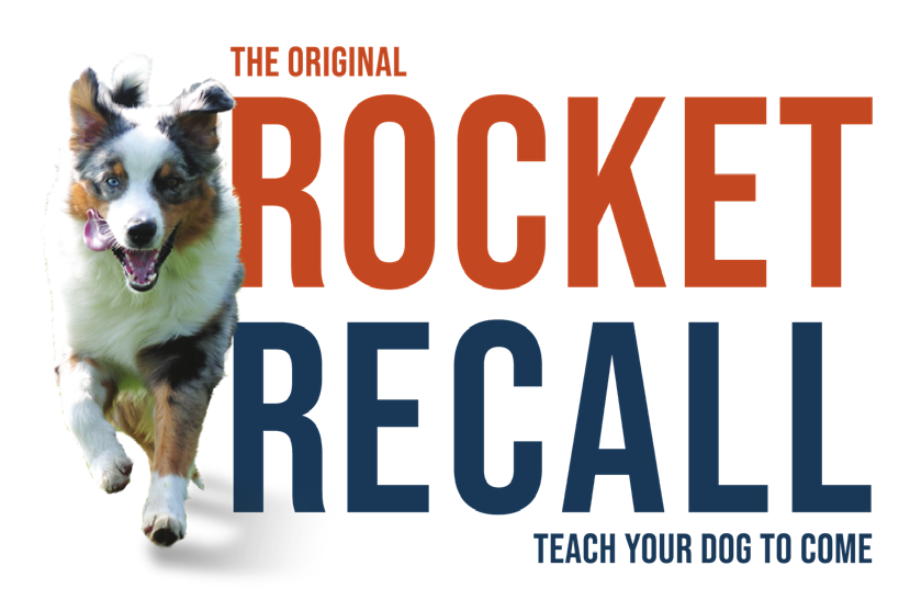 Rocket Recall